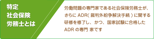 労働問題の専門家である社会保険労務士が、 さらにADR(裁判外紛争解決手続)に関する 研修を修了し、かつ、国家試験に合格した ADRの専門 家です